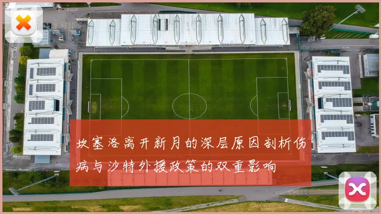 坎塞洛离开新月的深层原因剖析伤病与沙特外援政策的双重影响