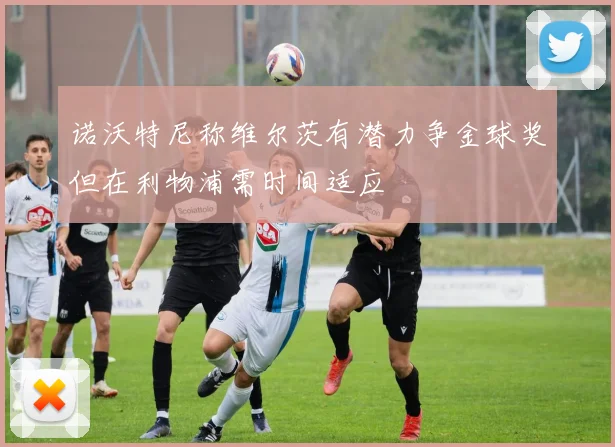 诺沃特尼称维尔茨有潜力争金球奖但在利物浦需时间适应