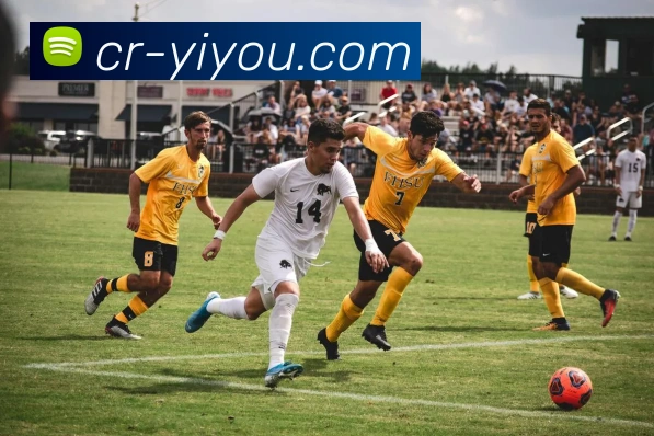 数据防护可视化